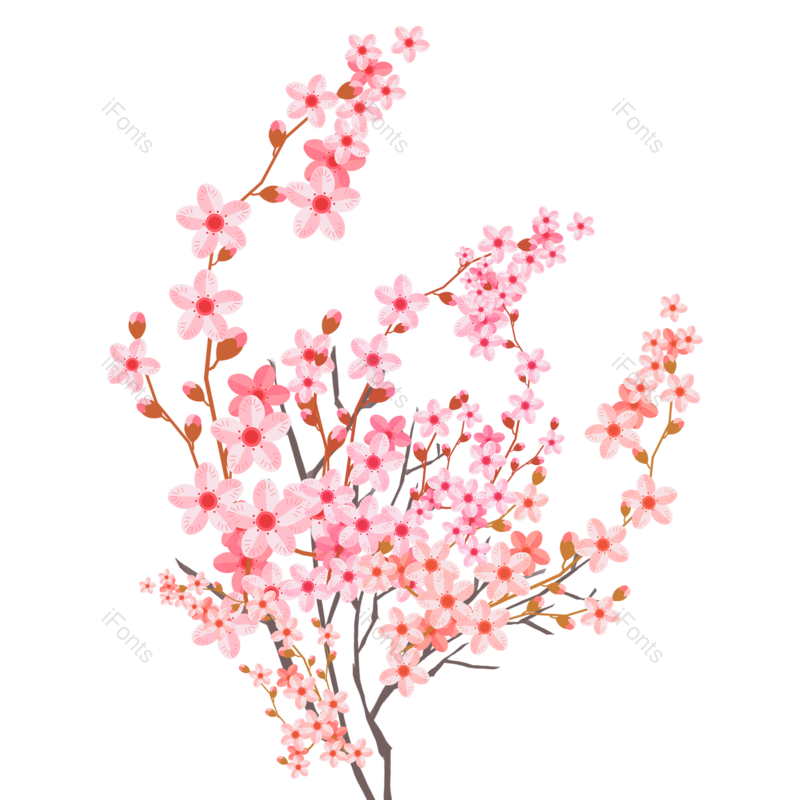 鲜花图片,春天花朵元素,樱花PNG,春天免抠素材